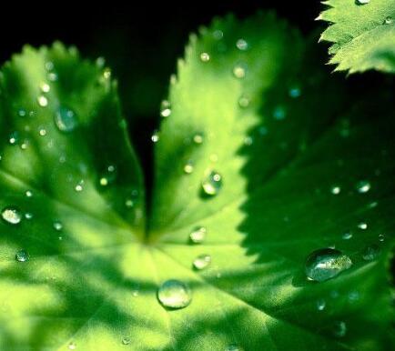 故事都很短，个个直达心腑